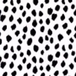 Meet your Posher, Charlotte